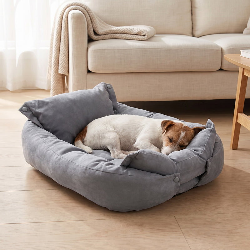 Small short-coated dog curled asleep inside the gray convertible pet bed in a living room