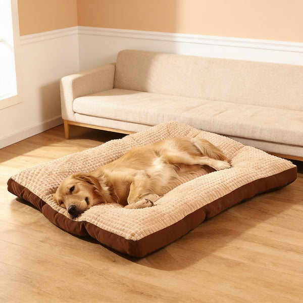 Golden retriever asleep on the Coffee padded washable dog bed mat in a warm living room
