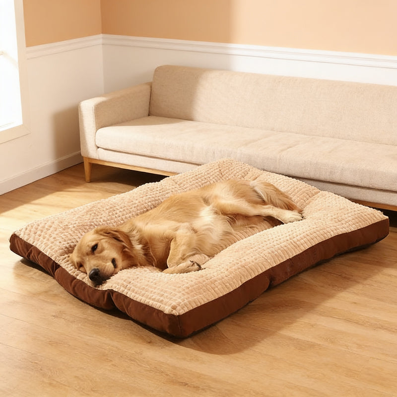 Golden retriever asleep on the Coffee padded washable dog bed mat in a warm living room