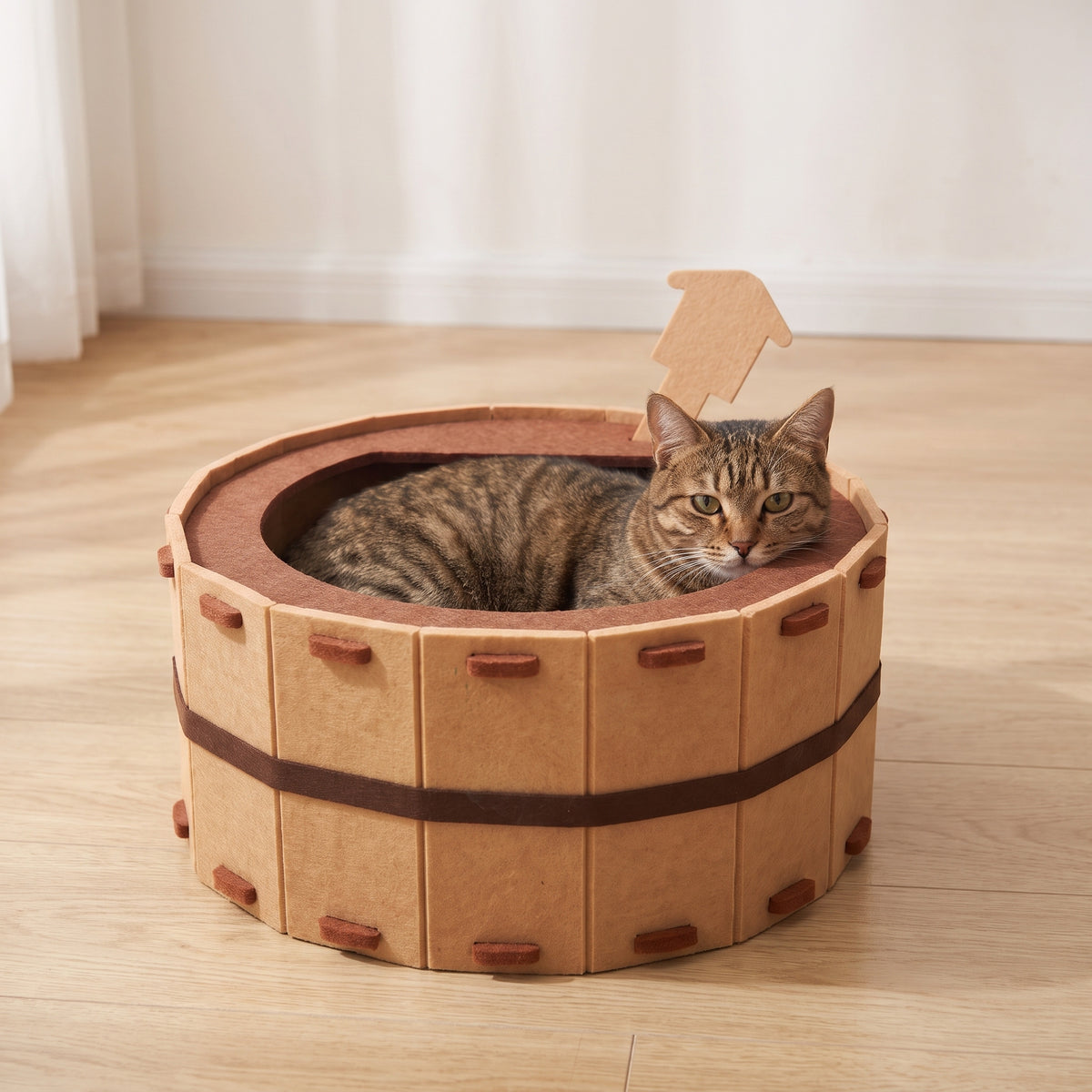 Adult cat curled inside the felt cat bed showing how big the bed is